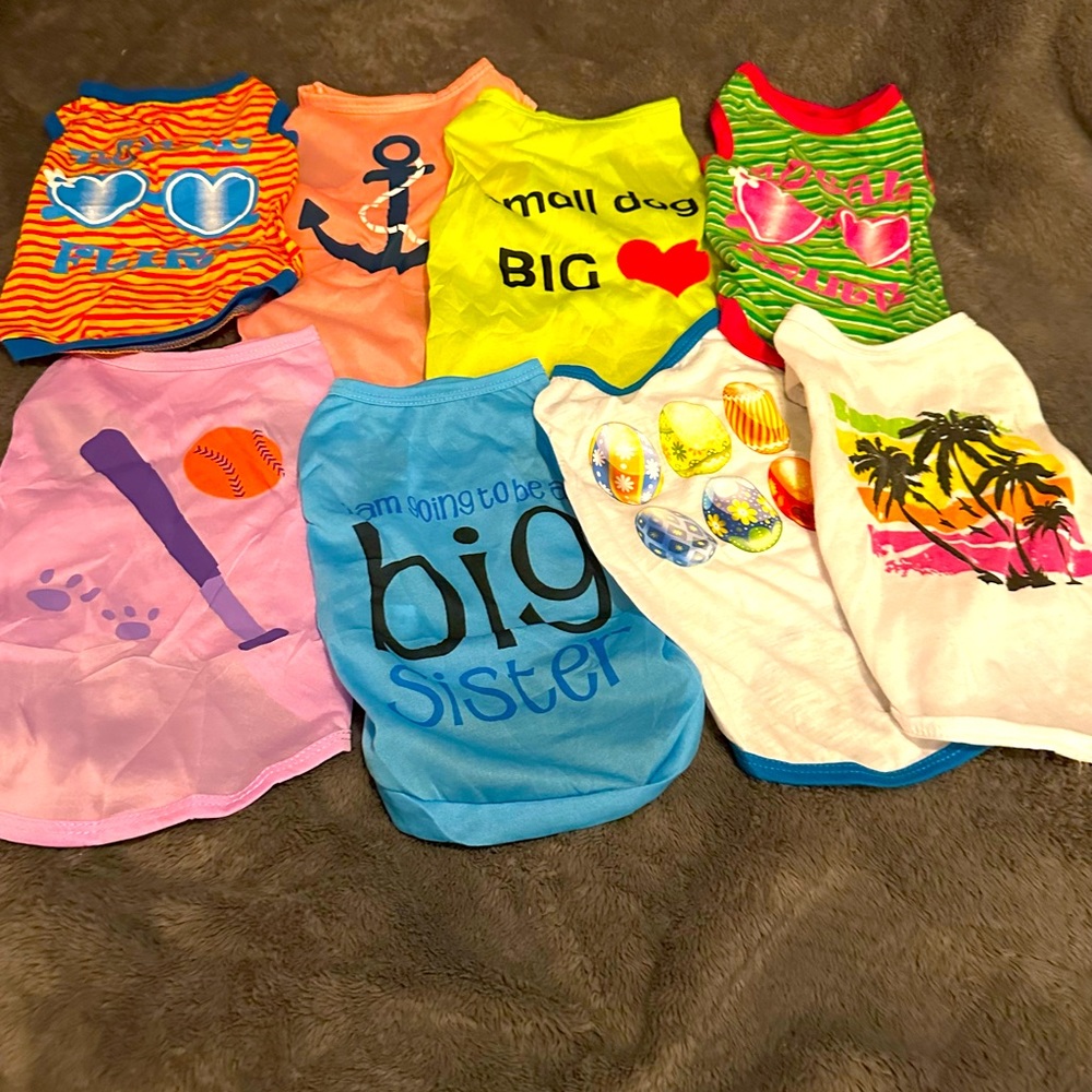 Toy dog clothing